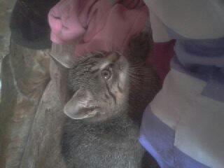 1443615737148.thumb.jpg.66730b531b6d4544