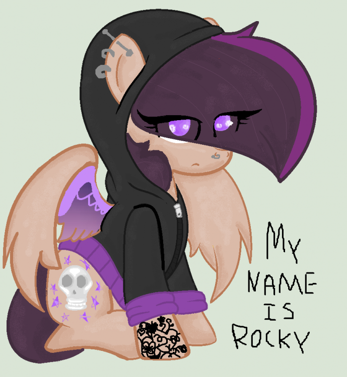 56a778cfcbad4_MYNAMEISROCKY.thumb.png.cc