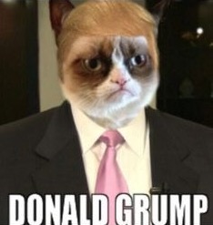 grumpy-cat-merchandise-donald-trump-poli