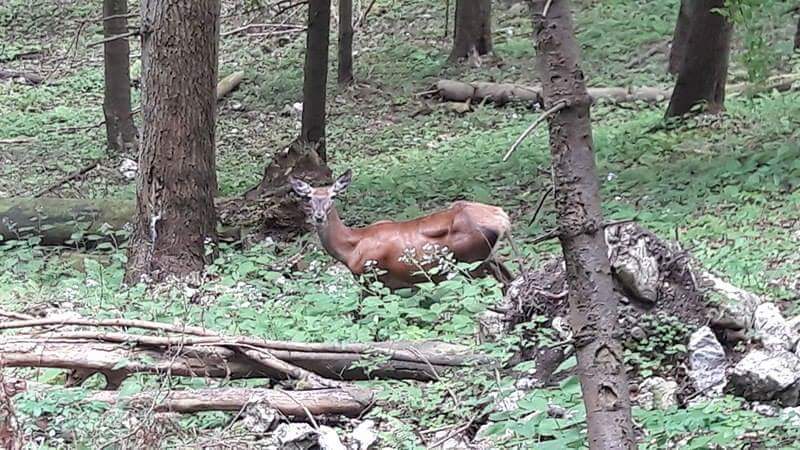 received_1298642273496669.jpeg.ebe997e10