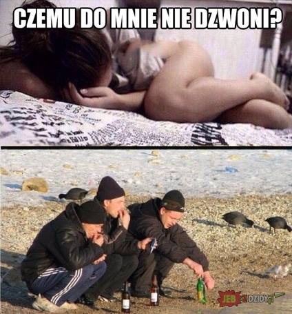 13590464_718163661620492_120538203000142