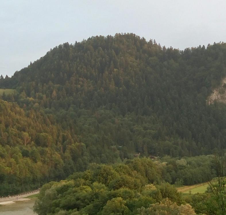 P60725-195037.thumb.jpg.60fa8371d23e1695