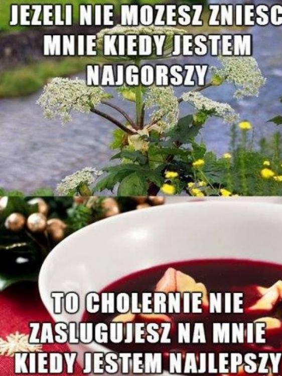 comment_1qXb8xWrT6smRhz0RvZkQo1SN9iGnZeN