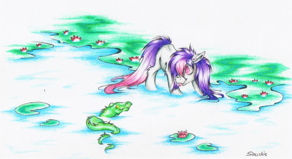 58068a93ef2df_ShadieandRocko.thumb.jpg.a