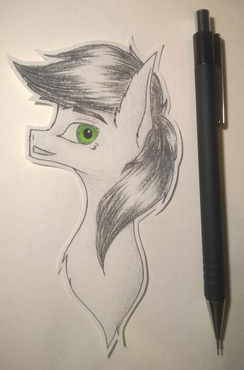 Sight_2016_10_25_192826_752 (2).jpg