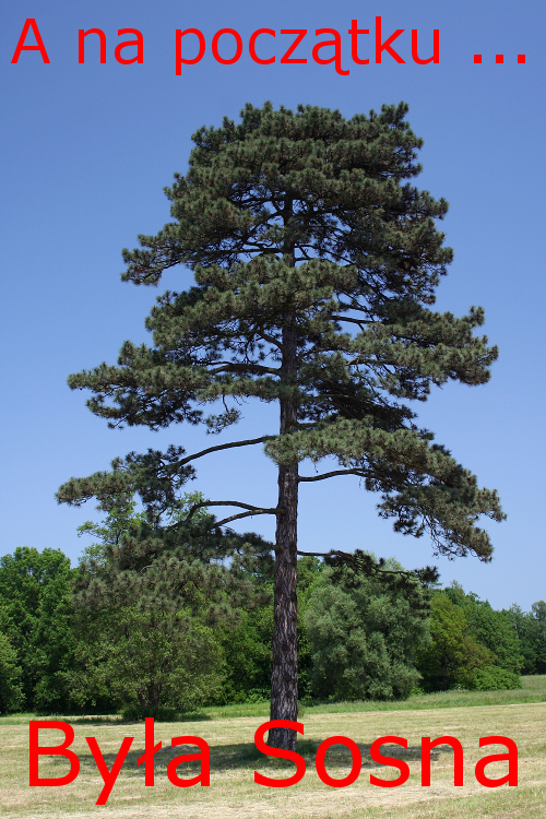 a na początku.jpg