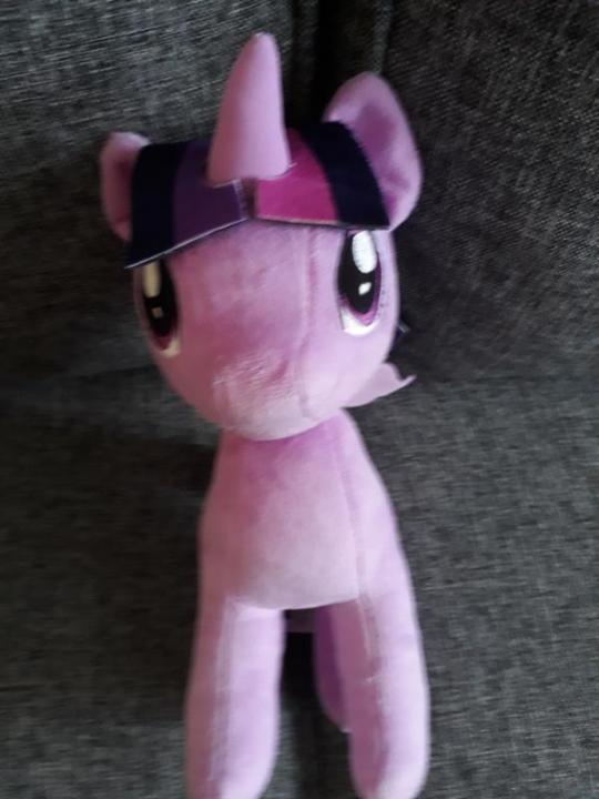 5b2bb08aa9021_NewTwiligtPlushie.thumb.jpg.811bce245877e05f251444d620f589c2.jpg