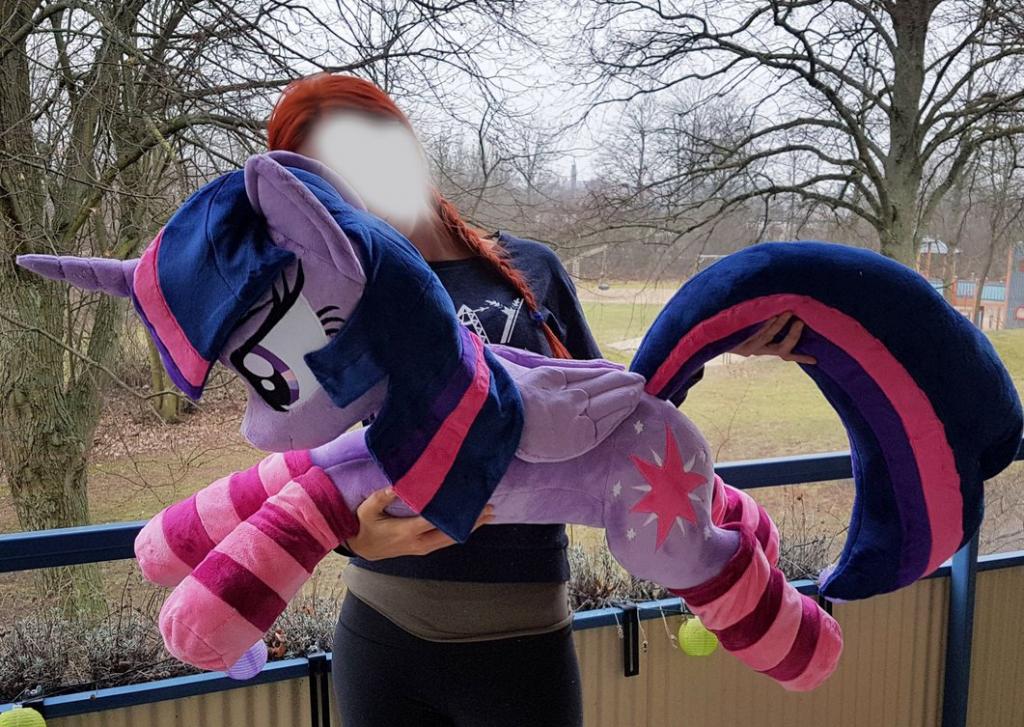 lifesize_twilight_sparkle_w_socks_by_epicrainbowcrafts-dayjae4.thumb.jpg.0c055748b402de1912d25f56064c0fa0.jpg