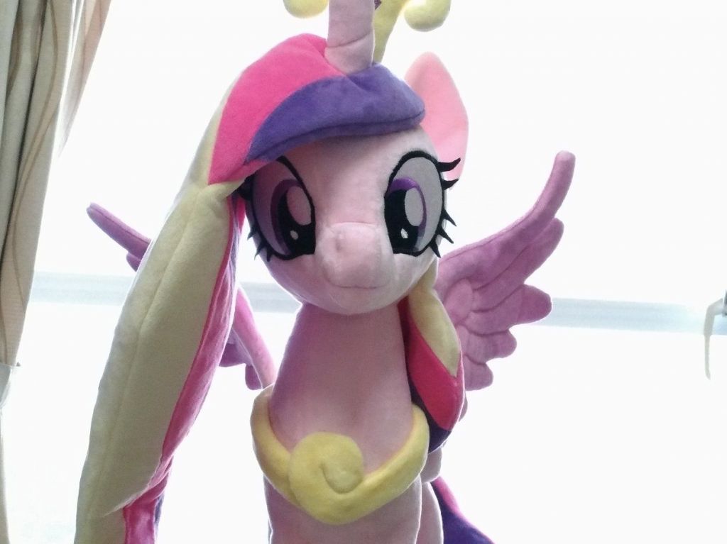 680096558_1827422__safe_artist-colon-nekokevin_princesscadance_alicorn_cute_cutedance_female_irl_jew-okingatyou_mare_photo_plushie_pony_regalia_smiling_.thumb.jpeg.facb3382e327370c9b383649c5cba0d1.jpeg