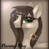 Flower-Shy